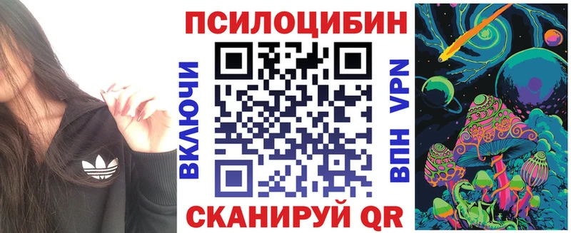 Галлюциногенные грибы Psilocybine cubensis  площадка как зайти  Красный Сулин 